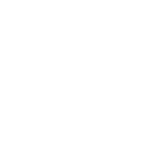 Logo-Nexteel-White